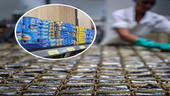 قطاع المصبرات يدق ناقوس الخطر